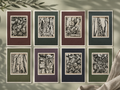 SB Nature's Curiosities